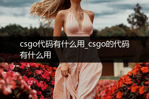 csgo代码有什么用_csgo的代码有什么用