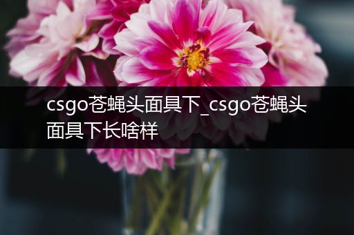 csgo苍蝇头面具下_csgo苍蝇头面具下长啥样