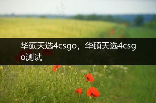 华硕天选4csgo，华硕天选4csgo测试