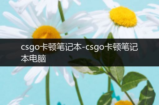 csgo卡顿笔记本-csgo卡顿笔记本电脑