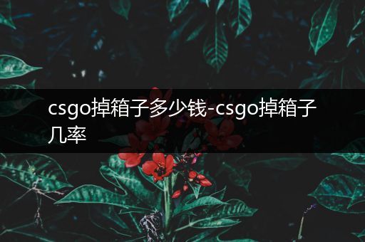 csgo掉箱子多少钱-csgo掉箱子几率