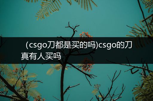 （csgo刀都是买的吗)csgo的刀真有人买吗