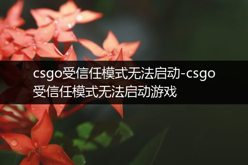 csgo受信任模式无法启动-csgo受信任模式无法启动游戏