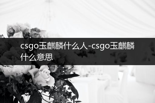 csgo玉麒麟什么人-csgo玉麒麟什么意思