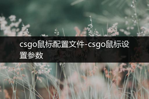 csgo鼠标配置文件-csgo鼠标设置参数