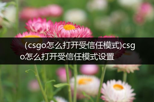 （csgo怎么打开受信任模式)csgo怎么打开受信任模式设置