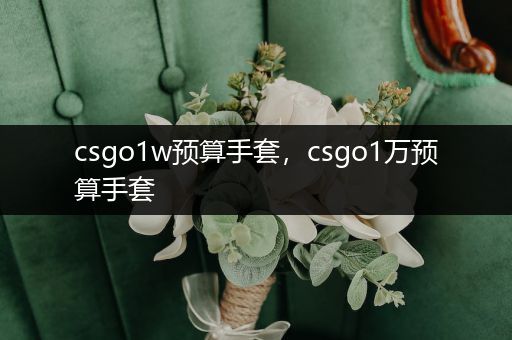 csgo1w预算手套，csgo1万预算手套