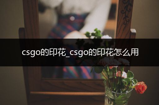 csgo的印花_csgo的印花怎么用