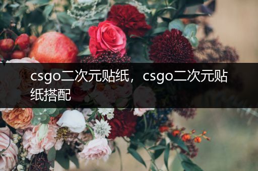 csgo二次元贴纸，csgo二次元贴纸搭配