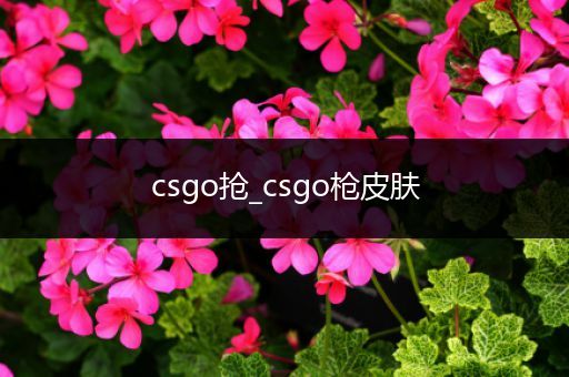 csgo抢_csgo枪皮肤