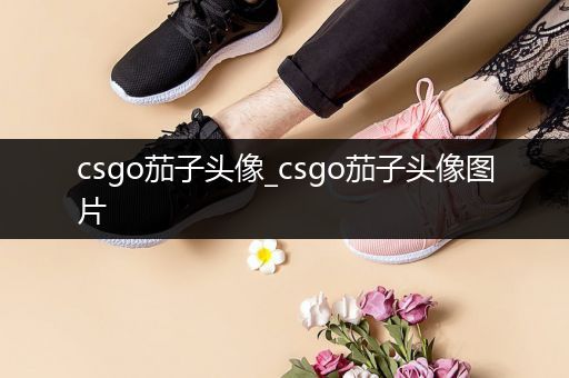 csgo茄子头像_csgo茄子头像图片