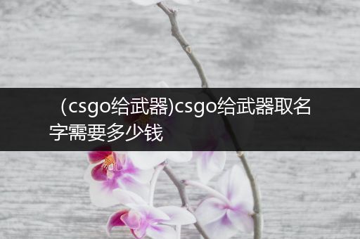 （csgo给武器)csgo给武器取名字需要多少钱