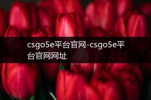 csgo5e平台官网-csgo5e平台官网网址