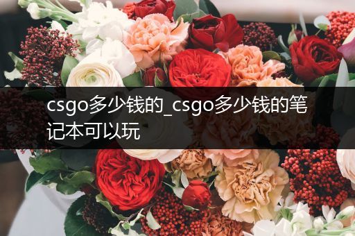 csgo多少钱的_csgo多少钱的笔记本可以玩