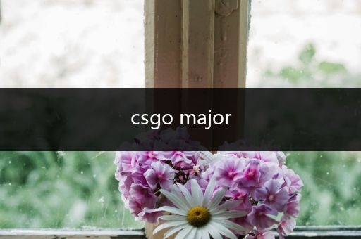 csgo major