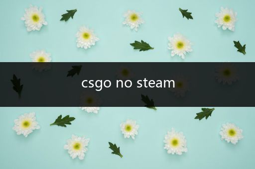 csgo no steam