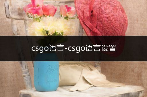 csgo语言-csgo语言设置