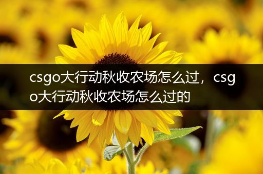 csgo大行动秋收农场怎么过，csgo大行动秋收农场怎么过的