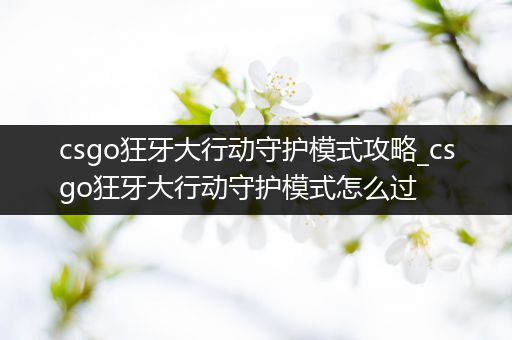 csgo狂牙大行动守护模式攻略_csgo狂牙大行动守护模式怎么过