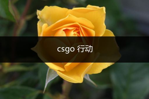 csgo 行动