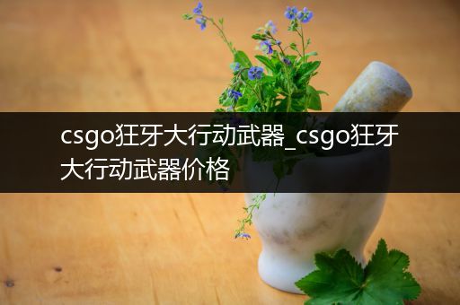 csgo狂牙大行动武器_csgo狂牙大行动武器价格