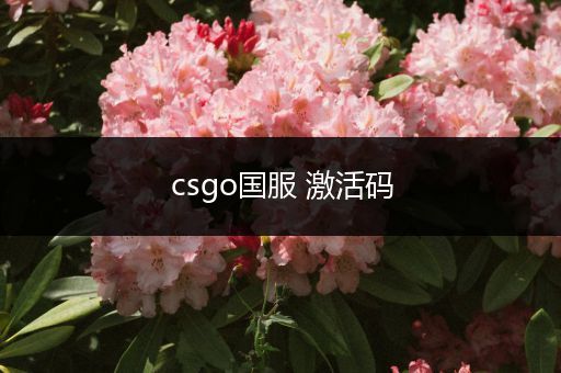 csgo国服 激活码