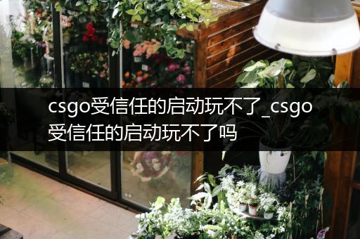 csgo受信任的启动玩不了_csgo受信任的启动玩不了吗