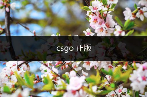 csgo 正版