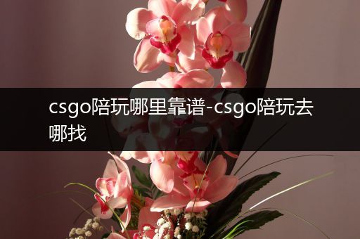 csgo陪玩哪里靠谱-csgo陪玩去哪找