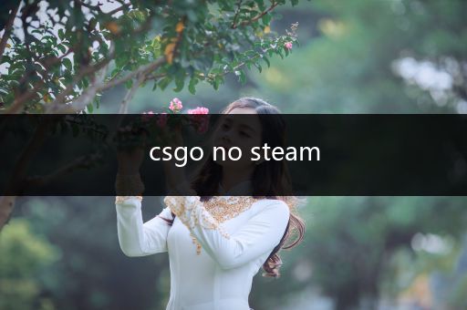 csgo no steam