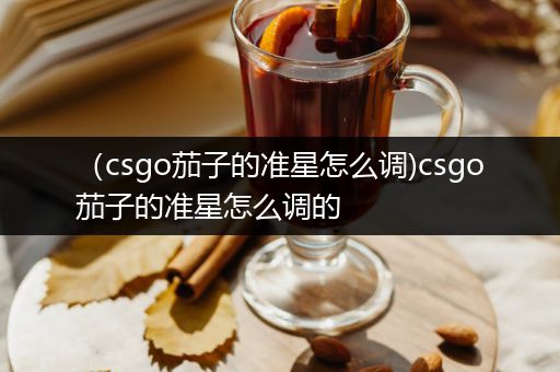 （csgo茄子的准星怎么调)csgo茄子的准星怎么调的