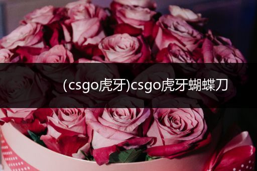 （csgo虎牙)csgo虎牙蝴蝶刀