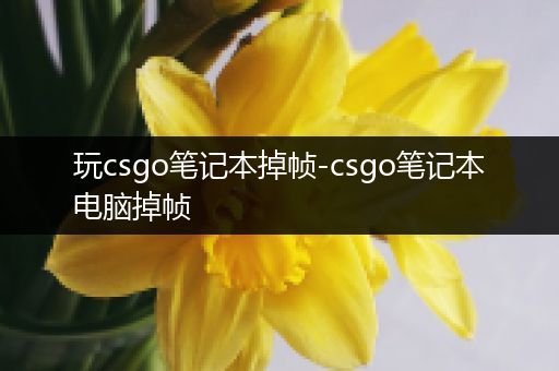 玩csgo笔记本掉帧-csgo笔记本电脑掉帧