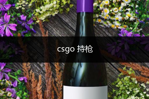 csgo 持枪