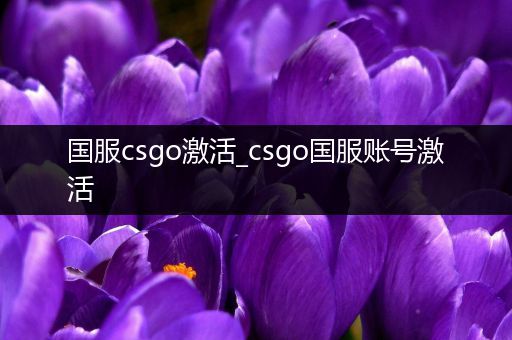 国服csgo激活_csgo国服账号激活