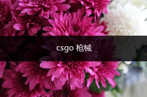 csgo 枪械