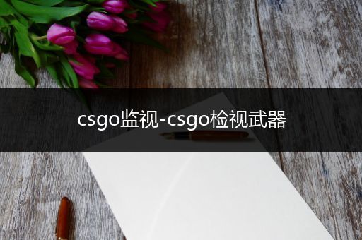 csgo监视-csgo检视武器