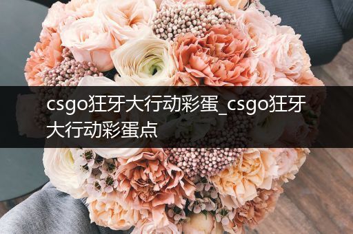 csgo狂牙大行动彩蛋_csgo狂牙大行动彩蛋点