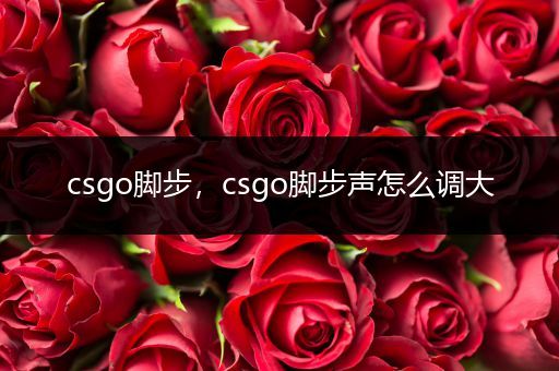 csgo脚步，csgo脚步声怎么调大