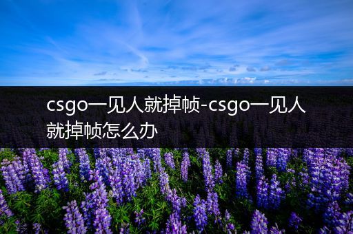 csgo一见人就掉帧-csgo一见人就掉帧怎么办