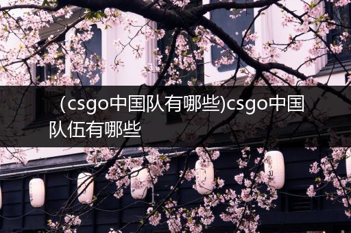 （csgo中国队有哪些)csgo中国队伍有哪些