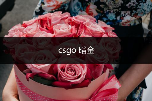 csgo 暗金