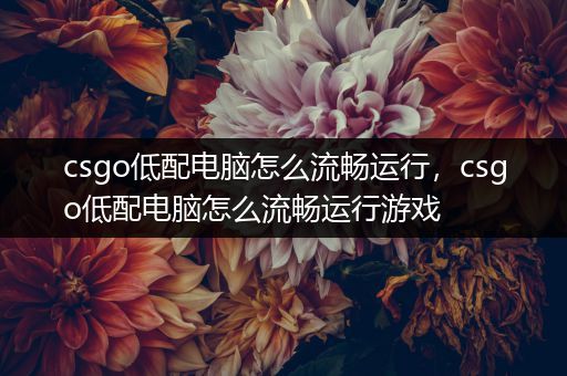 csgo低配电脑怎么流畅运行，csgo低配电脑怎么流畅运行游戏