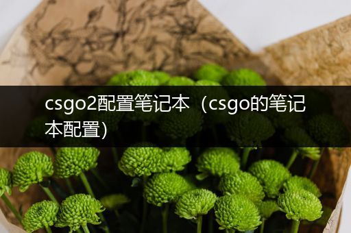 csgo2配置笔记本（csgo的笔记本配置）