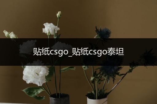 贴纸csgo_贴纸csgo泰坦