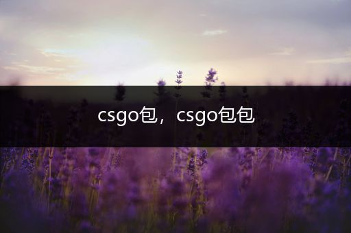 csgo包，csgo包包