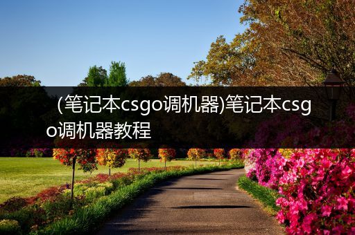 （笔记本csgo调机器)笔记本csgo调机器教程