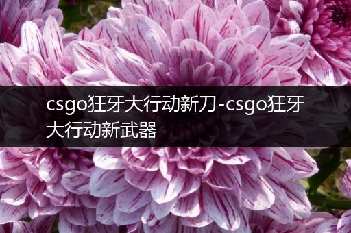 csgo狂牙大行动新刀-csgo狂牙大行动新武器