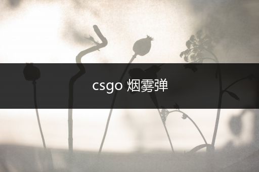 csgo 烟雾弹