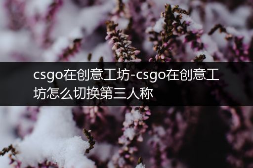 csgo在创意工坊-csgo在创意工坊怎么切换第三人称